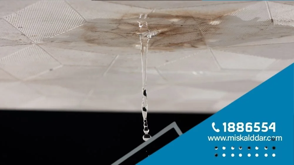 شركة كشف خرير الماء